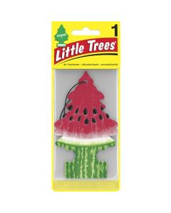 10320 CAR/F 1-pak WATERMELON