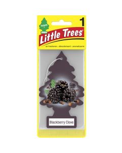 17343 CAR/F 1-pak BLACK BERRY