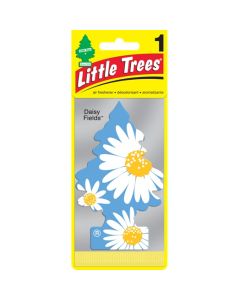 17347 CAR/F 1-pak DAISY FIELD