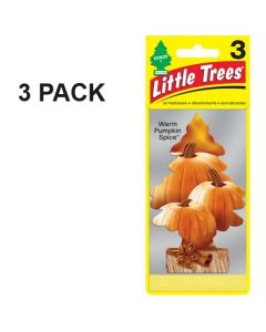 37451 CAR/F 3-pak WARM PUMPKIN