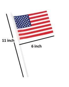 AMERICAN FLAG 4X6 W/STICK