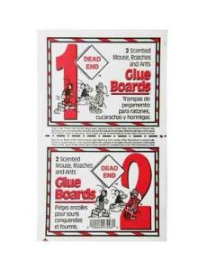 D7296 2pk MOUSE/INSECT TRAP BD