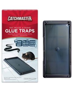 CM#402 RAT/MOUSE GLUE TRAP 2pk